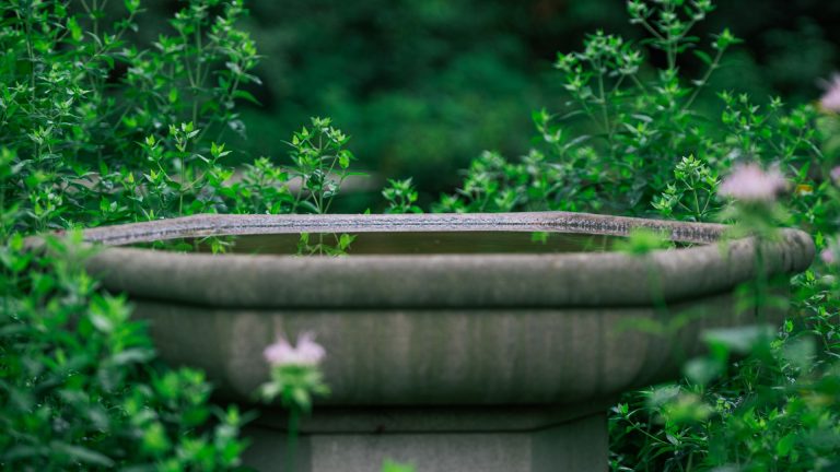 Comment bien choisir une fontaine en pierre pour son jardin ?